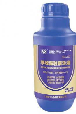 1000ml早收鼓粒精华液