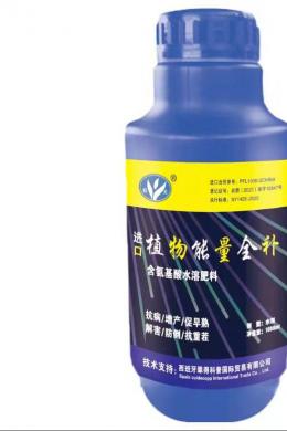 1000ml进口植物能量全补
