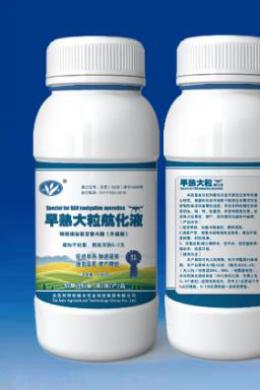 早熟大粒航化液