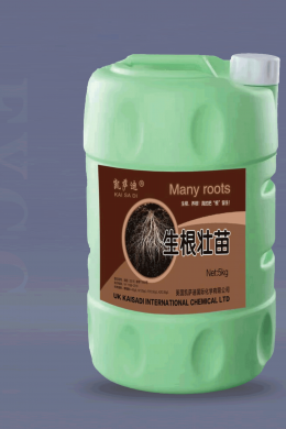 5kg生根壮苗