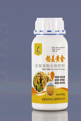500ml稻麦黄金